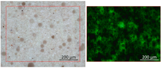 Nový článek v prestižním vědeckém časopise